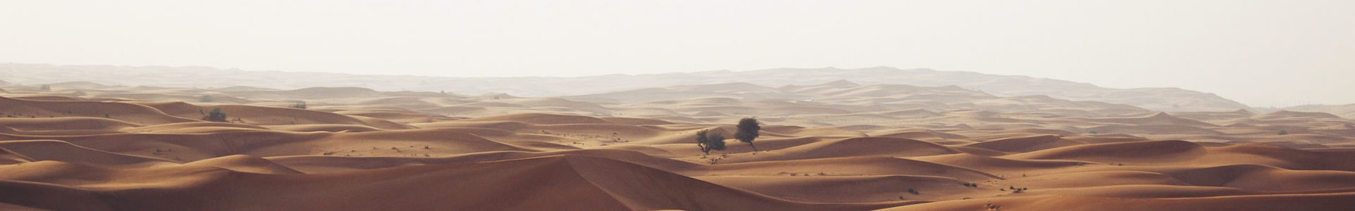 ݿó޹˾